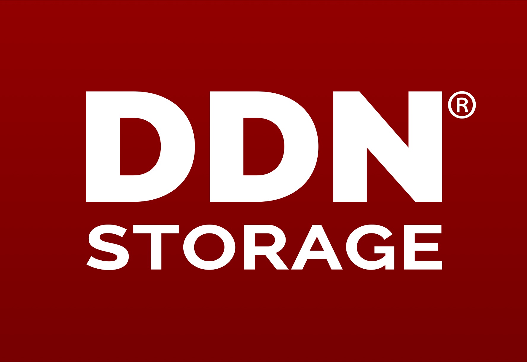 Go to DDN Storage